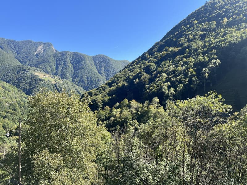 Mountain valley with dense forest, clear blue sky, and a distant mountain range.