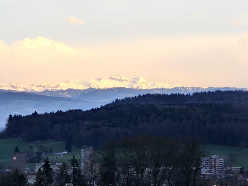 Scenic panoramic view featuring a horizon with mountains and city skyline.