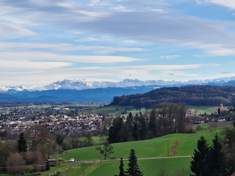green grassy field, trees, village in the distance, mountains in the background, blue sky with clouds