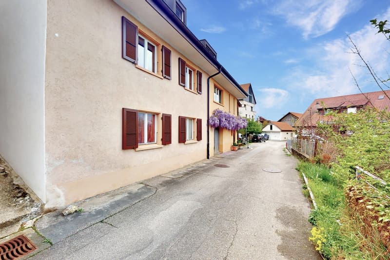 raised ground floor house, tan paint, brown shutters, street view, vegetation