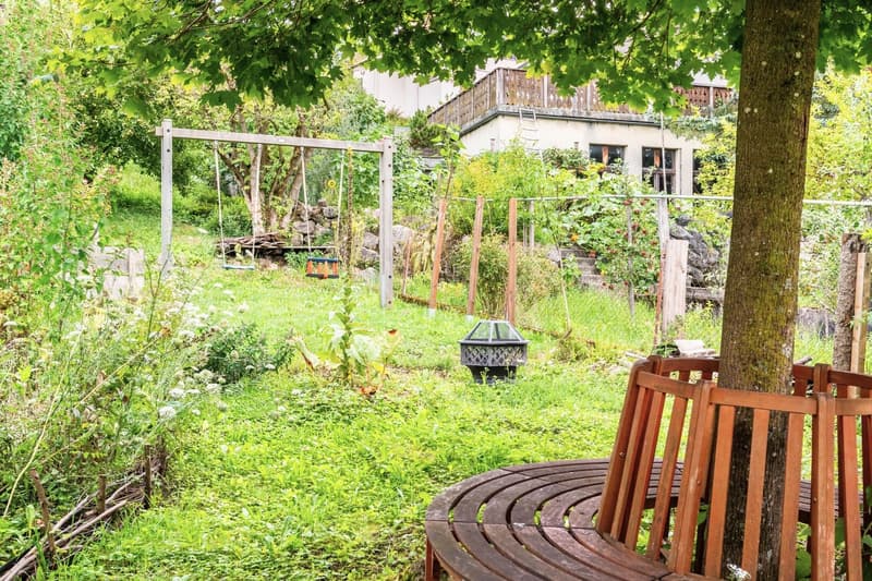 grass, tree, bench, garden, house, swing