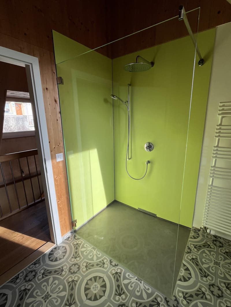 Shower with glass door, shower head and hand shower, floor drain, green wall, patterned tiles