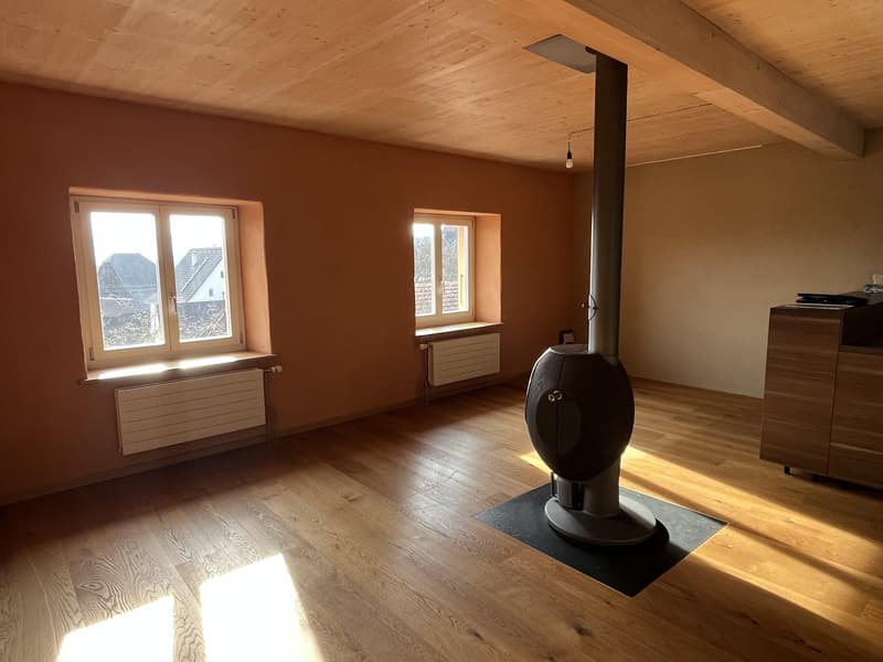 wooden floor, wooden ceiling, fireplace, large windows, heaters