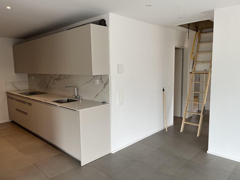 modern kitchen with white cabinets, marble countertop, stainless steel sink, gas stove, wooden ladder