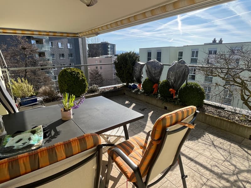 Sonnige 4.5-Zimmer Attikawohnung mit grosser Terrasse und Parkplatz in der Tiefgarage. (17)