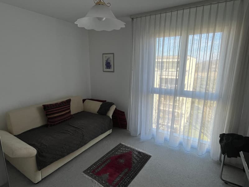 Sonnige 4.5-Zimmer Attikawohnung mit grosser Terrasse und Parkplatz in der Tiefgarage. (13)