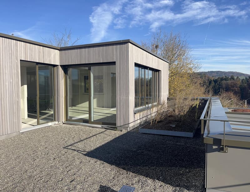 Attikawohnung mit grosser Terrasse inkl. zwei Tiefgaragenparkplätzen an ruhiger Lage. (18)