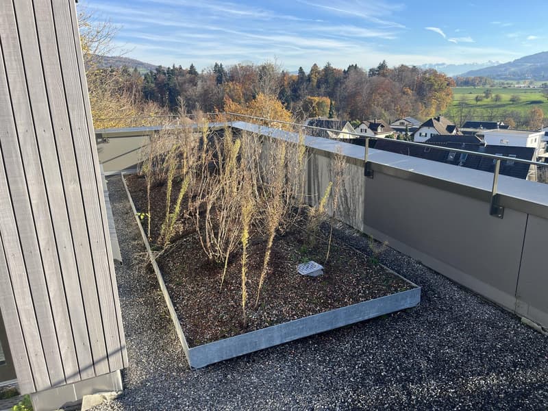 Attikawohnung mit grosser Terrasse inkl. zwei Tiefgaragenparkplätzen an ruhiger Lage. (15)
