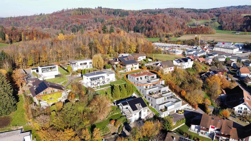 Attikawohnung mit grosser Terrasse inkl. zwei Tiefgaragenparkplätzen an ruhiger Lage. (5)