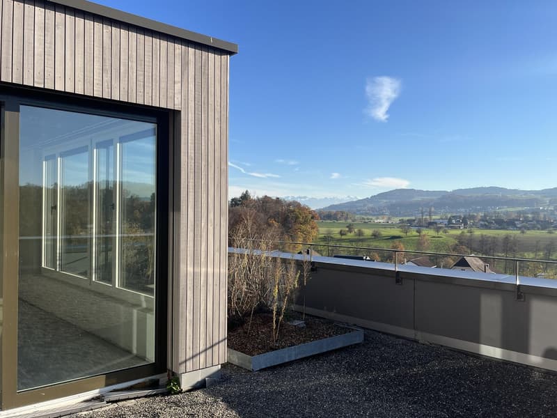 Attikawohnung mit grosser Terrasse inkl. zwei Tiefgaragenparkplätzen an ruhiger Lage. (16)