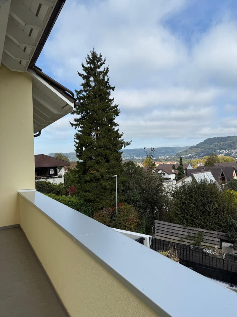 Exklusives Einfamilienhaus mit Einliegerwohnung an ruhiger Hanglange. (24)