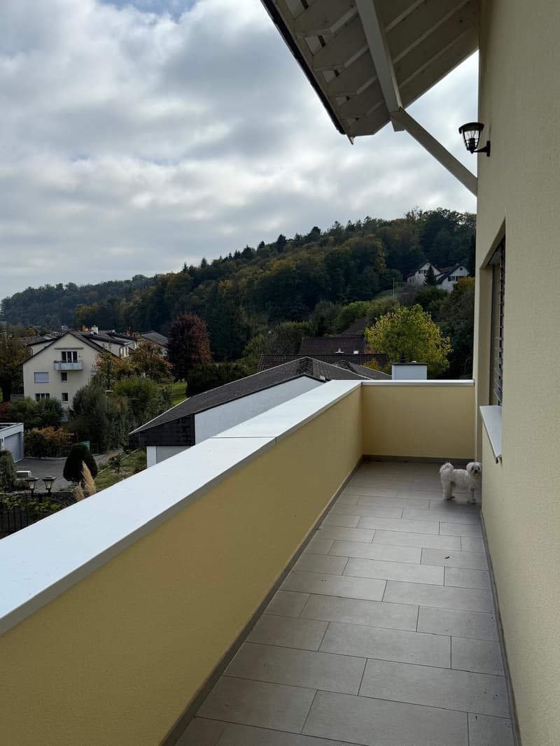Exklusives Einfamilienhaus mit Einliegerwohnung an ruhiger Hanglange. (23)