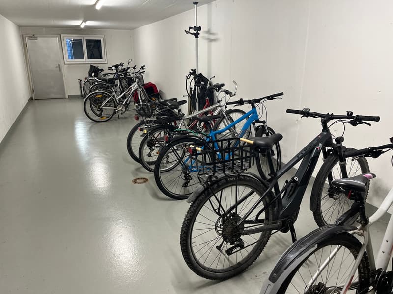 Sonnige 4.5-Zimmer Attikawohnung mit grosser Terrasse und Parkplatz in der Tiefgarage. (21)