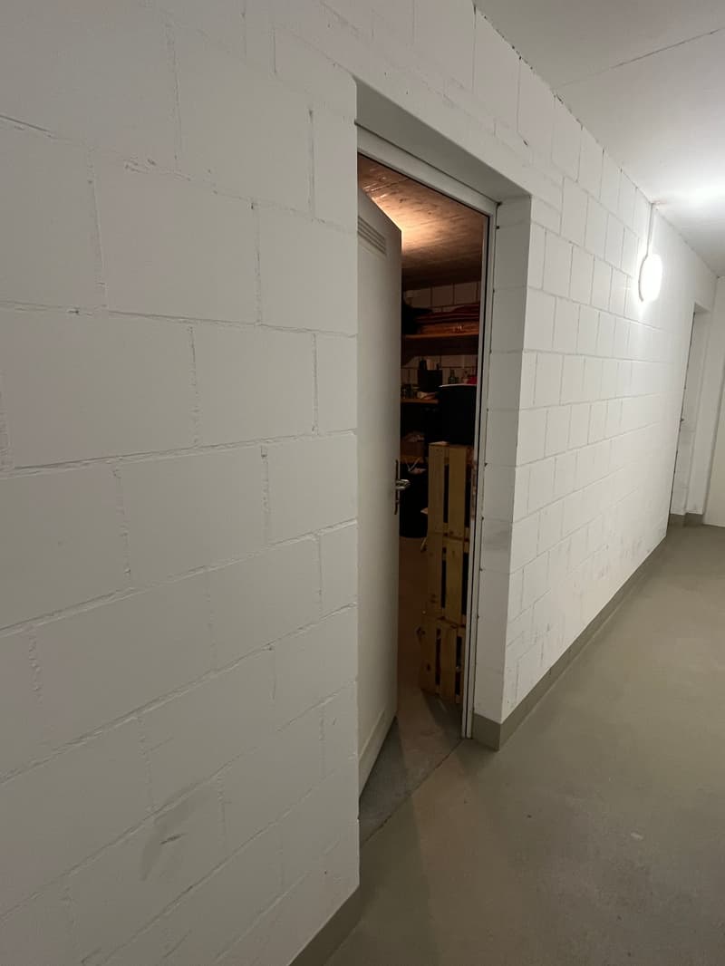 Sonnige 4.5-Zimmer Attikawohnung mit grosser Terrasse und Parkplatz in der Tiefgarage. (20)