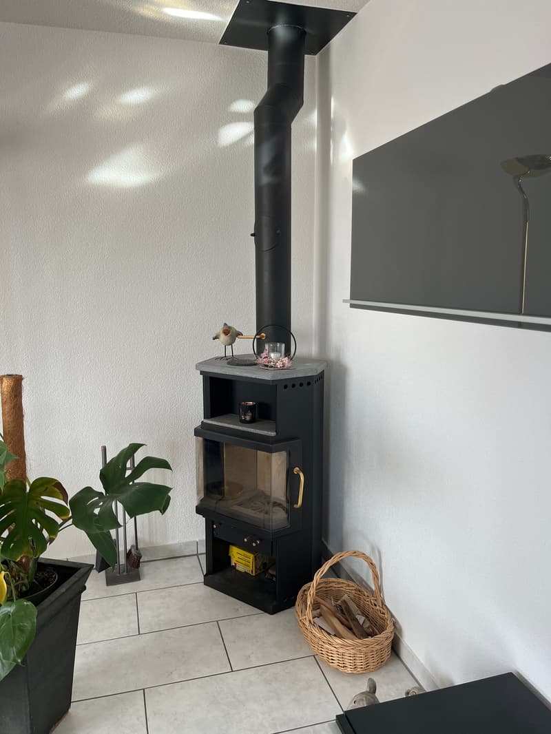 Sonnige 4.5-Zimmer Attikawohnung mit grosser Terrasse und Parkplatz in der Tiefgarage. (5)