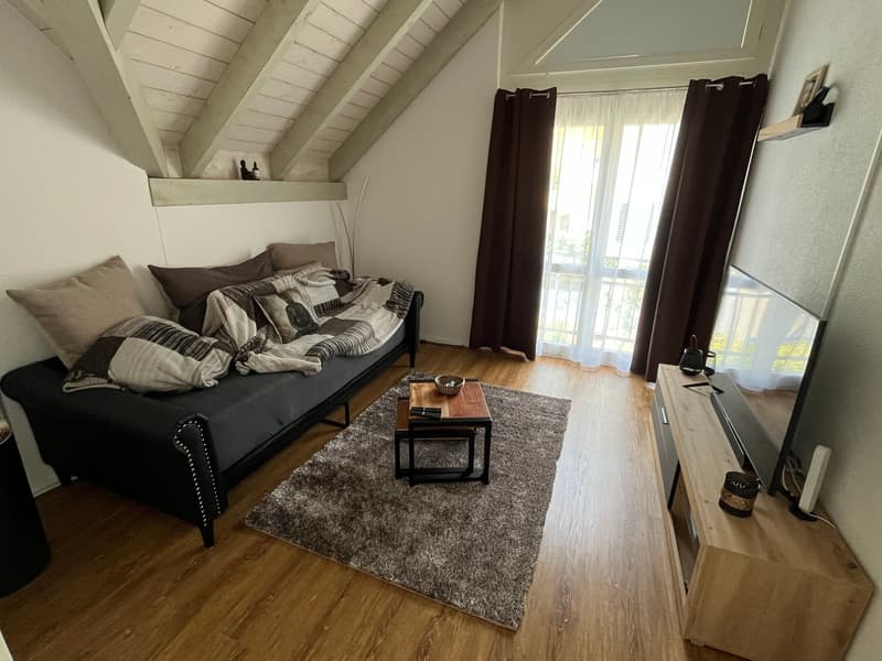 Stilvolles, ruhig gelegenes 6.5-Zimmer-Einfamilienhaus. (22)