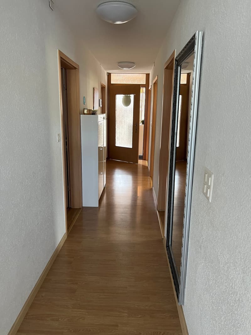 Mehrfamilienhaus mit 4 Wohnungen an schönster Lage direkt an der Aare. (5)