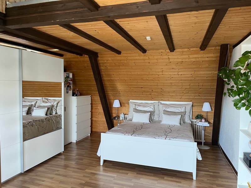 Mehrfamilienhaus mit 4 Wohnungen an schönster Lage direkt an der Aare. (24)