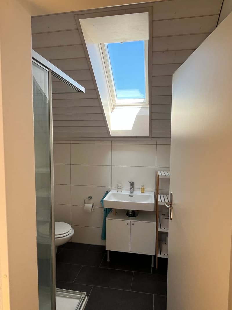 4.5-Zimmer-Maisonette-Wohnung mit viel Charme und grossem Balkon. (18)