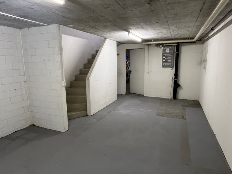 5.5 Zimmer-Reiheneinfamilienhaus mit Wintergarten, 2 Balkonen und 2 Garagenboxen. (24)