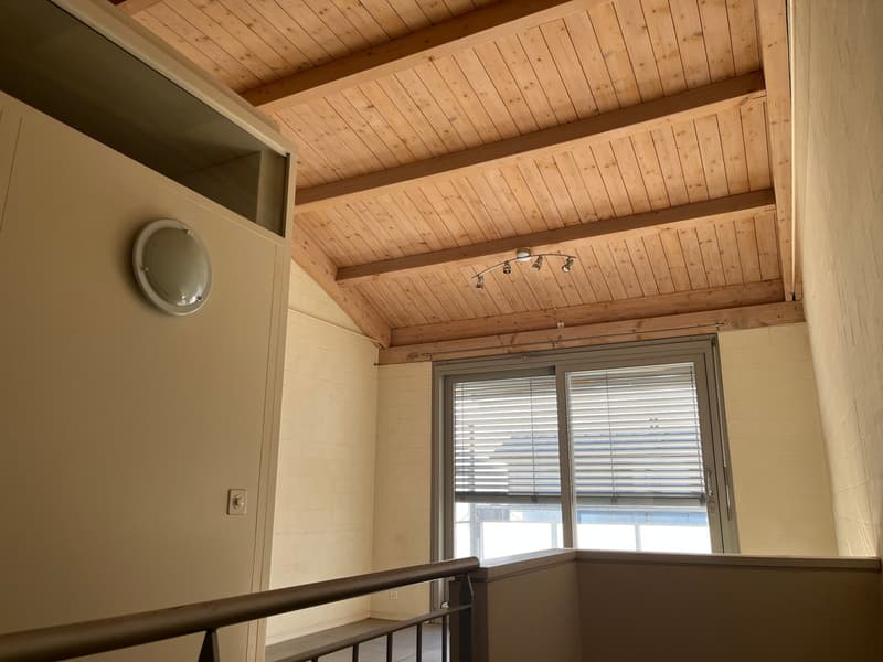5.5 Zimmer-Reiheneinfamilienhaus mit Wintergarten, 2 Balkonen und 2 Garagenboxen. (21)