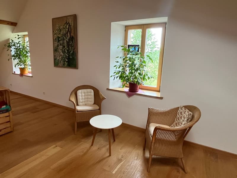 Bauernhaus mit 2 Wohnungen und Restaurant (mit weiteren Wohnungen ausbaubar). (7)