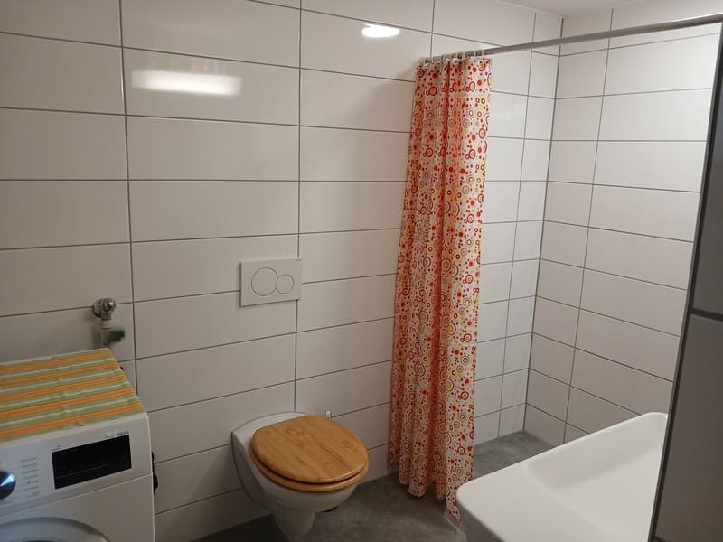 Bauernhaus mit 2 Wohnungen und Restaurant (mit weiteren Wohnungen ausbaubar). (10)