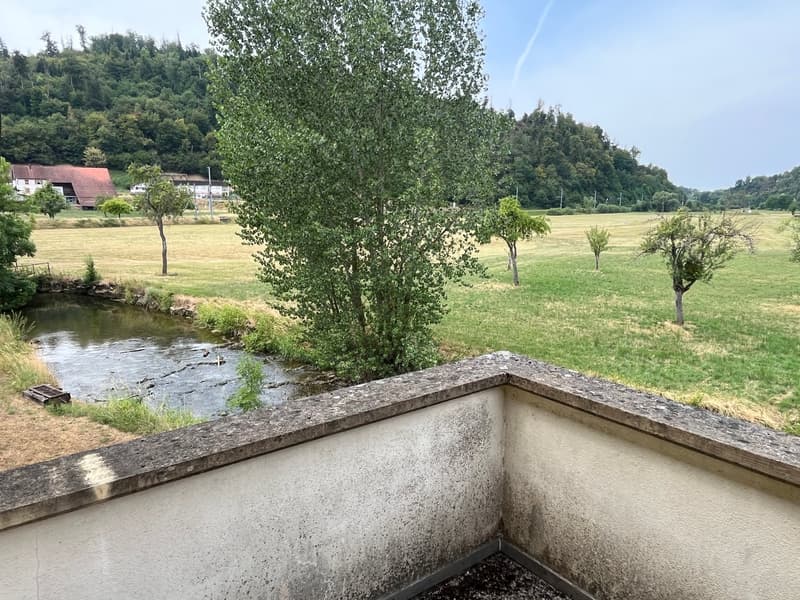 Bauernhaus mit 2 Wohnungen und Restaurant (mit weiteren Wohnungen ausbaubar). (26)