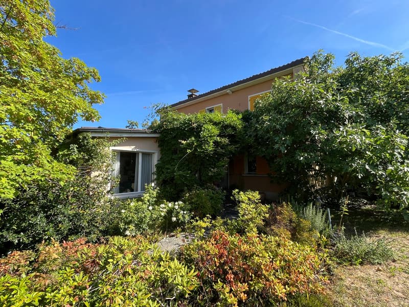 Charmantes 4.5 Zimmer-Einfamilienhaus in ruhiger Lage in Menziken. (3)