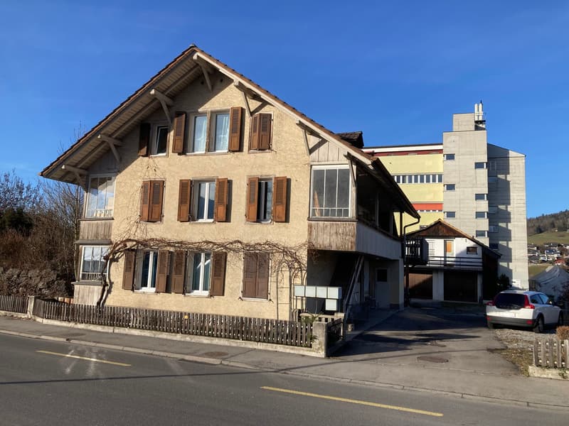 Praktische Einzelgarage an der Zulgstrasse 122 - Gut zugänglich (2)