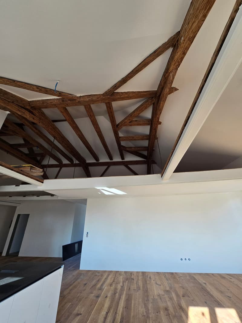 Erstvermietung durch Totalsanierung-Grosszügige 3.5-Zimmer-Dachwohnung mit Galerie (2)