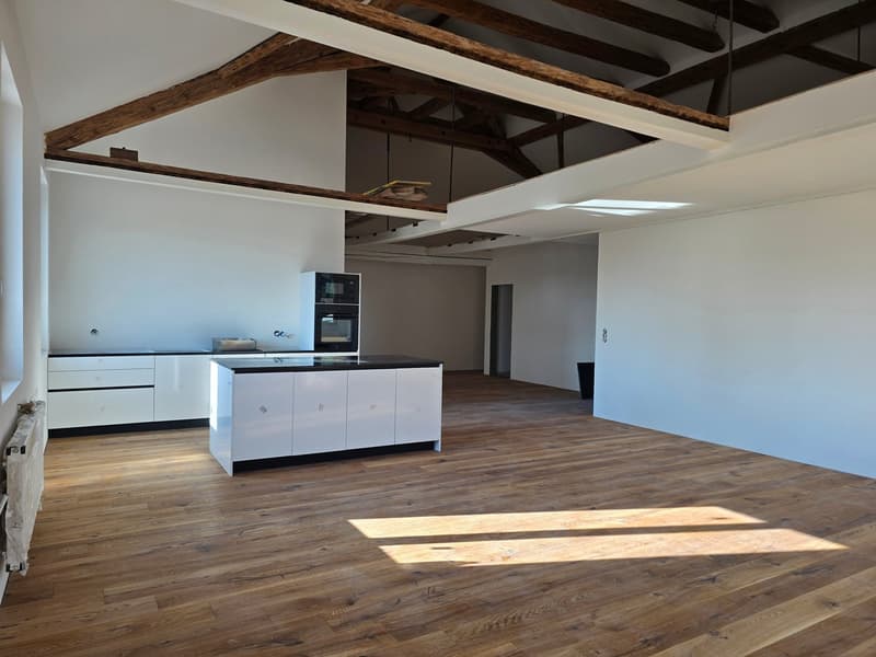 Erstvermietung durch Totalsanierung-Grosszügige 3.5-Zimmer-Dachwohnung mit Galerie (1)