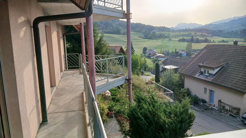 Grosse 4.5 -Zimmer-Wohnung mit Balkon und Kamin, TOP-Lage in Steffisburg (11)