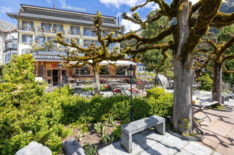 Rêve d'hôtel à Wengen (14)