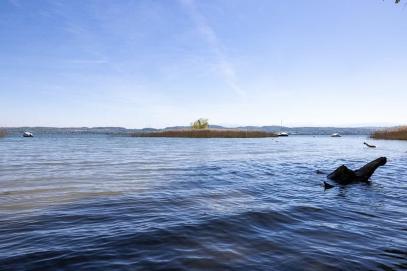 Gartentraum in Steinwurfdistanz zum See (12)