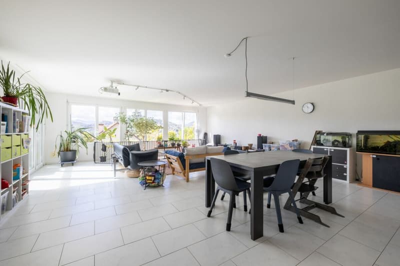 Am Sonnenhang von Liestal: 4.5 Zimmer Terrassenwohnung (3)