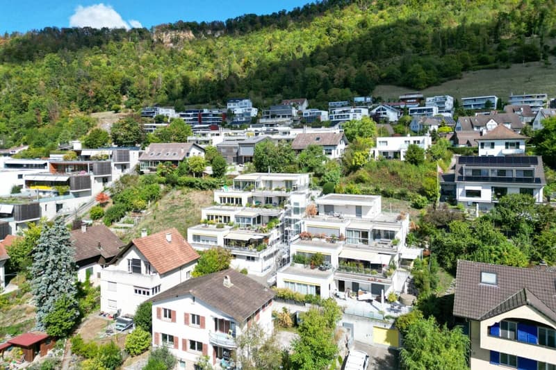 Am Sonnenhang von Liestal: 4.5 Zimmer Terrassenwohnung (1)