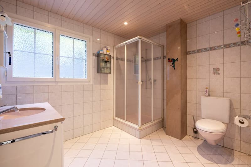 6.5 Zimmer Einfamilienhaus mit grossem Platzangebot in Plasselb (9)