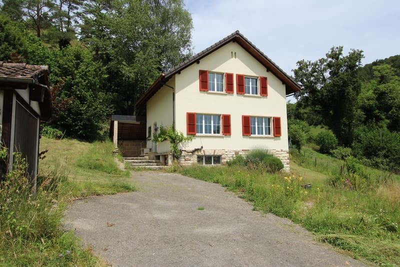 Natur PUR! Ihr neues Zuhause in Dittingen BL (10)