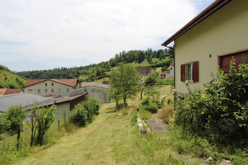 Natur PUR! Ihr neues Zuhause in Dittingen BL (9)