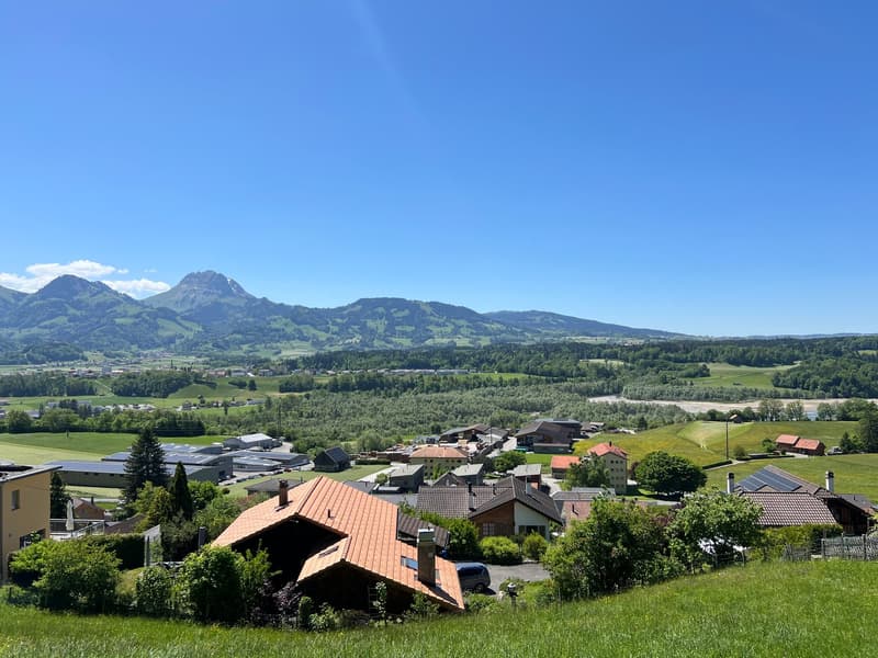 Dernière Villa jumelée de 3.5 pièces au coeur de la Gruyère et à 5 min du Lac (11)