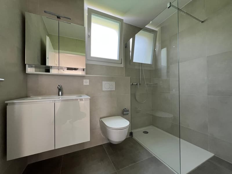 Magnifique appartement de 4,5 pièces avec grande terrasse et vue (10)