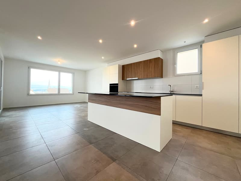 Magnifique appartement de 4,5 pièces avec grande terrasse et vue (3)