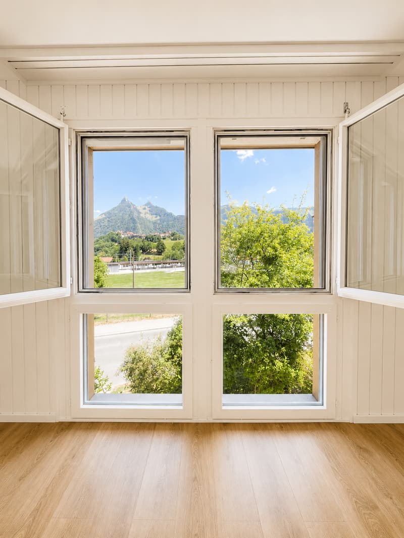 Appartement de 1.5 pièces avec magnifique vue (2)