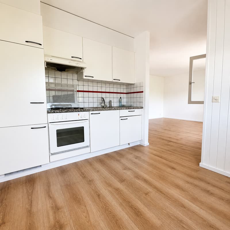 Appartement de 1.5 pièces avec magnifique vue (3)