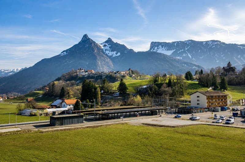 Appartement de 1.5 pièces avec magnifique vue (6)