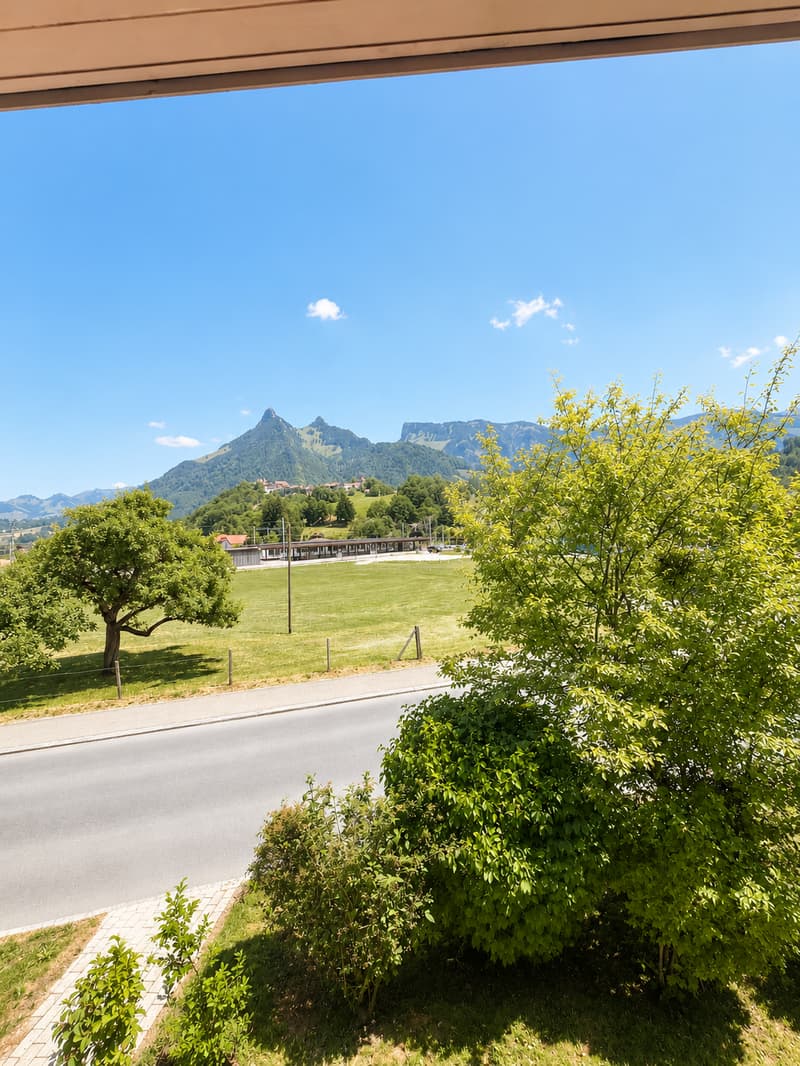 Appartement de 1.5 pièces avec magnifique vue (5)