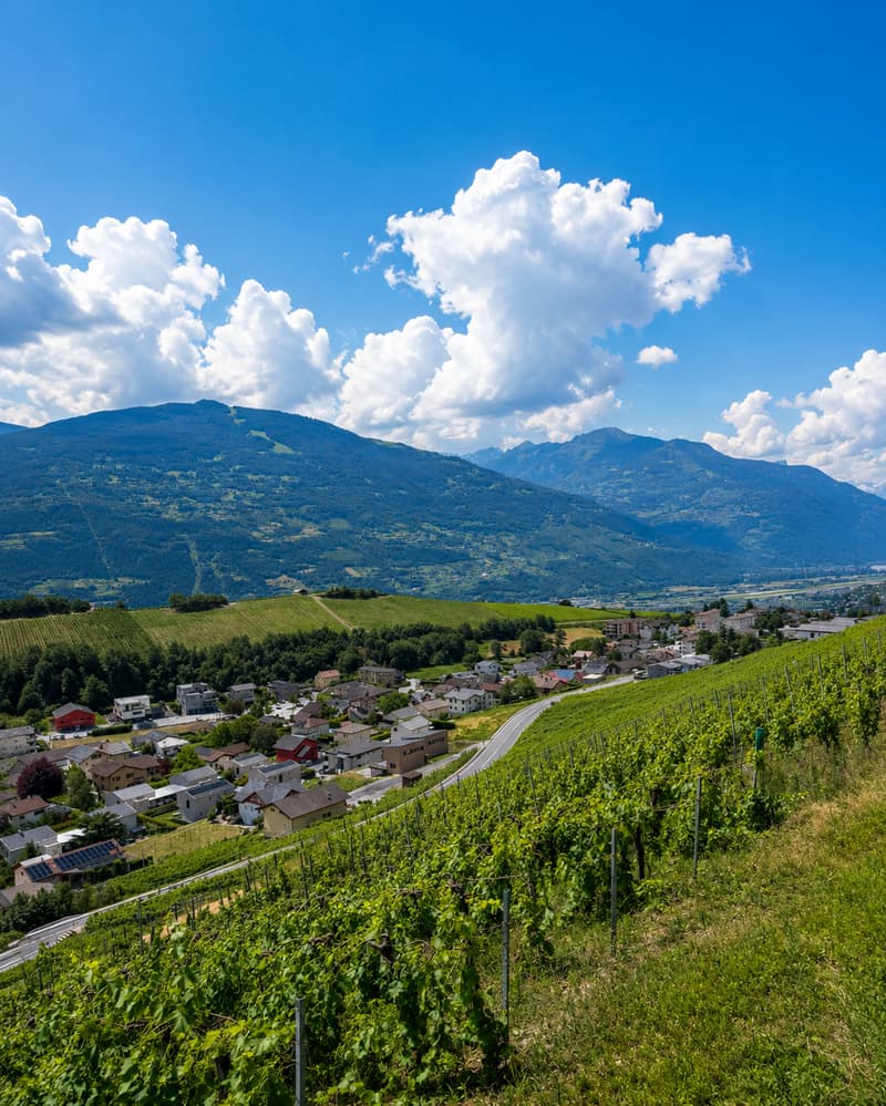 Magnifique villa individuelle à bâtir à Champlan – Grimisuat (13)