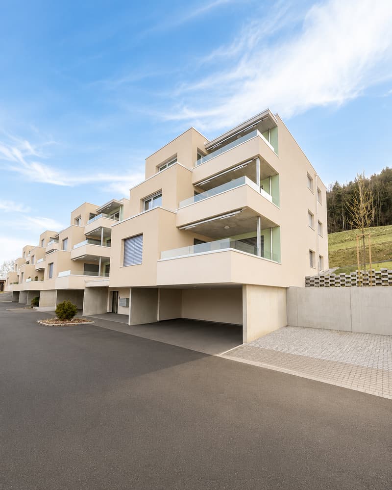 Magnifique appartement de 4,5 pièces avec grande terrasse et vue (13)
