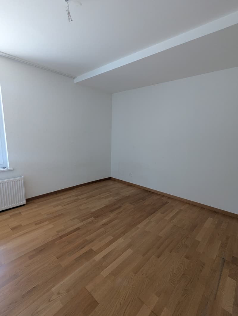 2.5-Zimmer-Wohnung in ruhiger Lage in Grünen (5)
